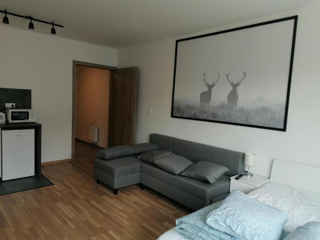 Brand New Studio Apartment #71 With Free Secure Parking In The Center - Prague — Photos 3